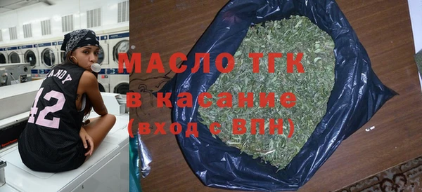 твердый Горняк