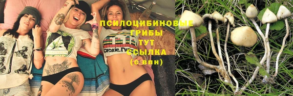 COCAINE Горно-Алтайск