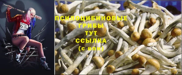 твердый Горняк