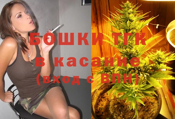 гидропоника Гусиноозёрск