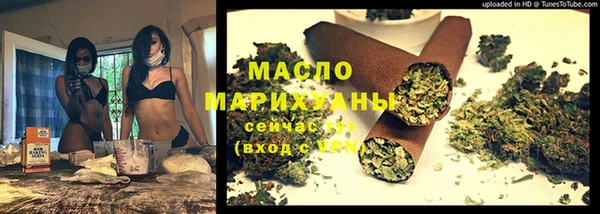 твердый Горняк