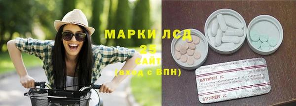 твердый Горняк