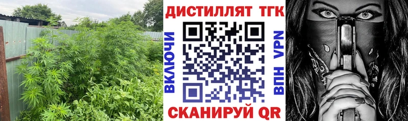 Дистиллят ТГК вейп с тгк  Купить где  Искитим 